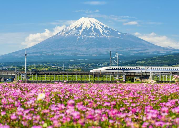 Mount Fuji &amp; Bullet Train