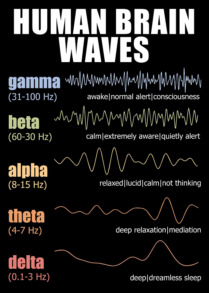 Neuroplasticity Brain Waves