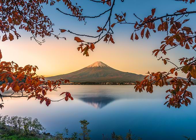 Mount Fuji Reflection autumn Forest