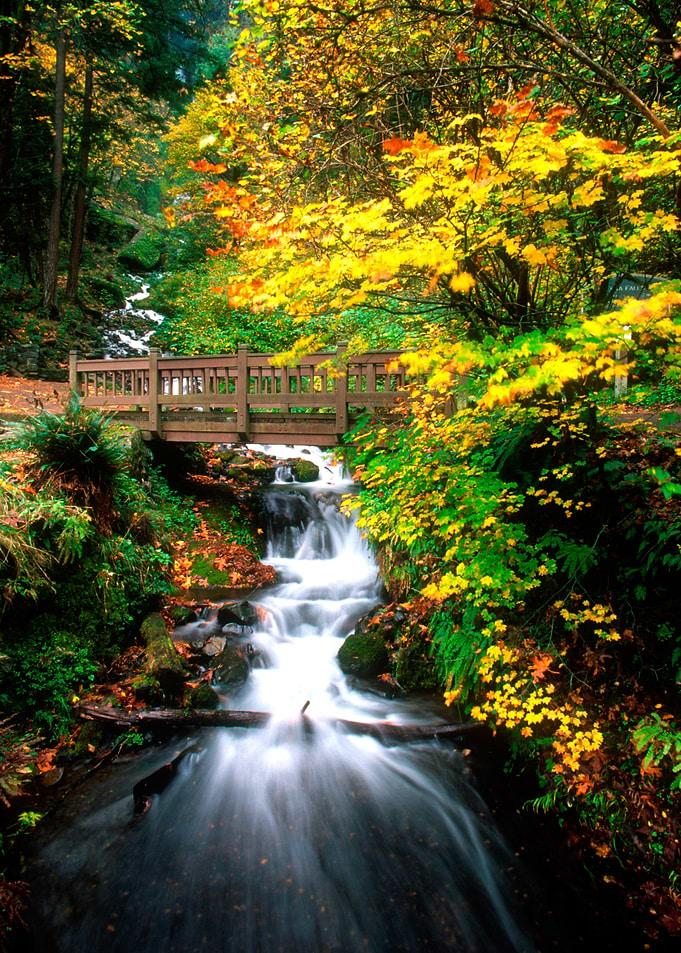 Autumn Waterfall Bridge