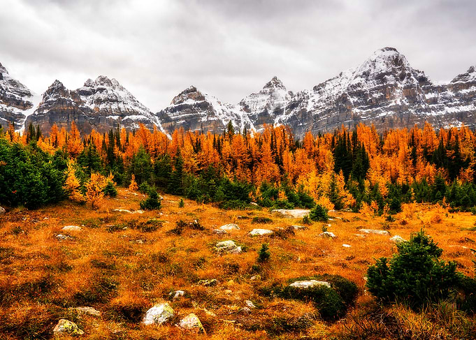 Autumn Mountain Landscape