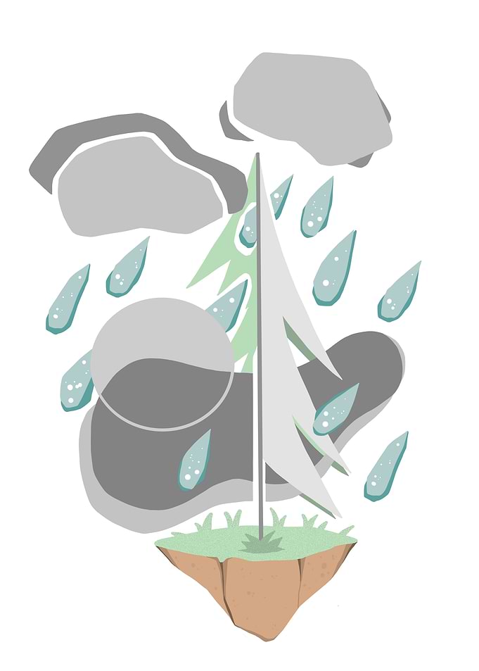 Rainy Day Tree