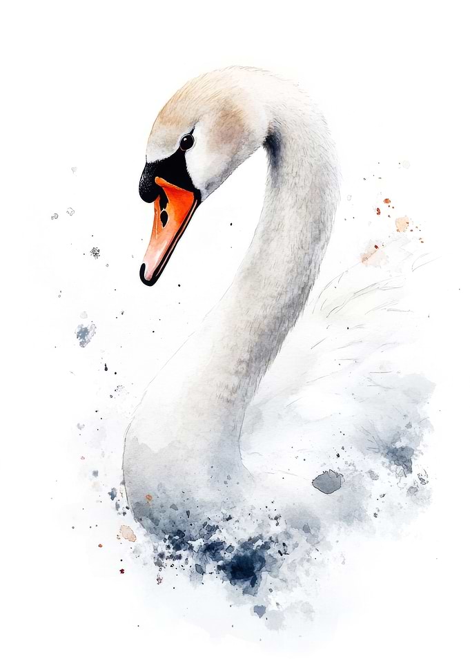 Watercolor Swan Portrait