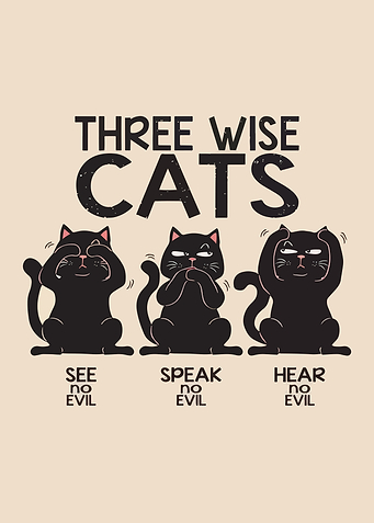 Three Wise Cats