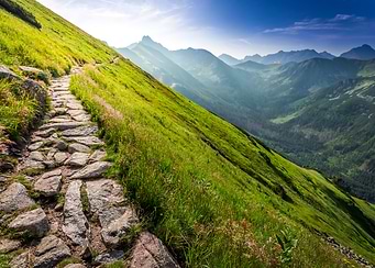 Mountain Path Landscape