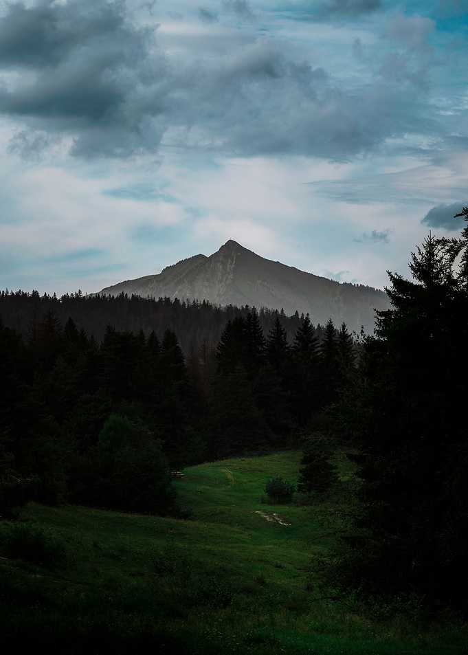 Mountain Peak Through Trees