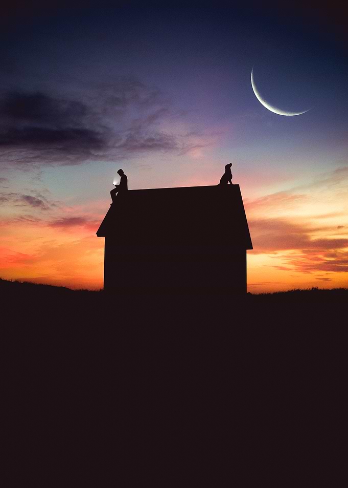 Distant Companions