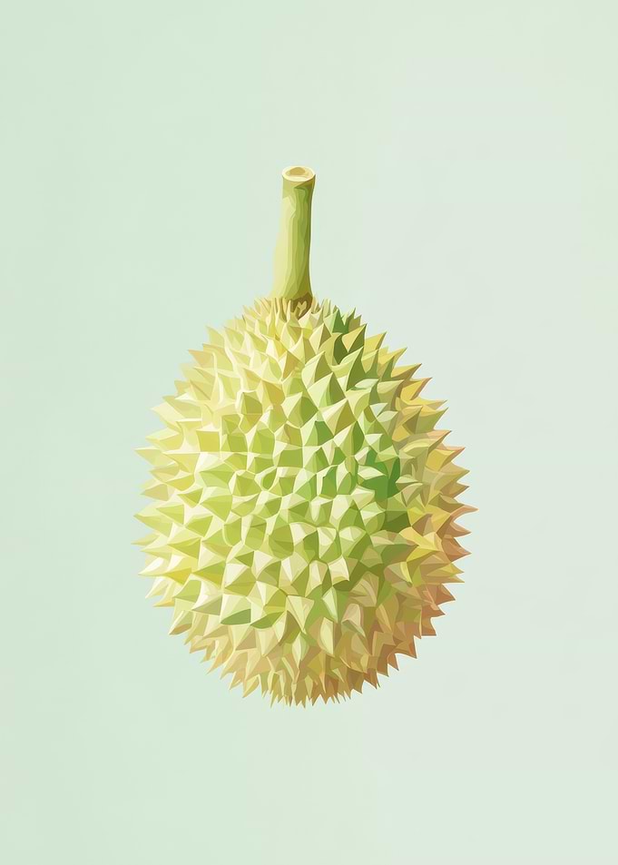 Durian Fruit Illustration