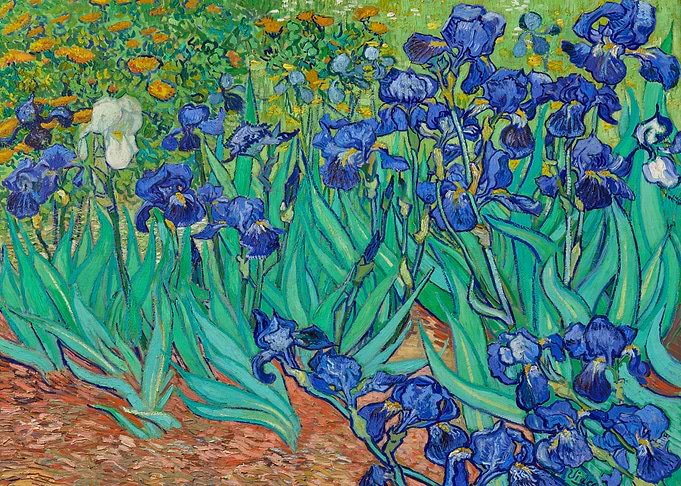 Irises by Van Gogh