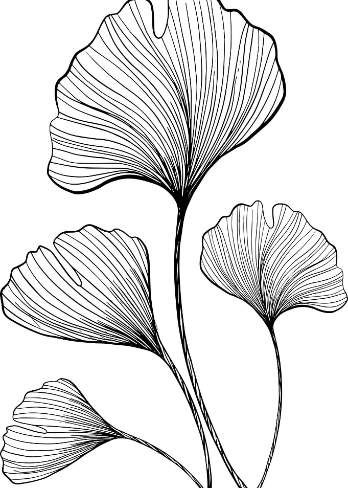 TROPICAL BOTANIC 60E