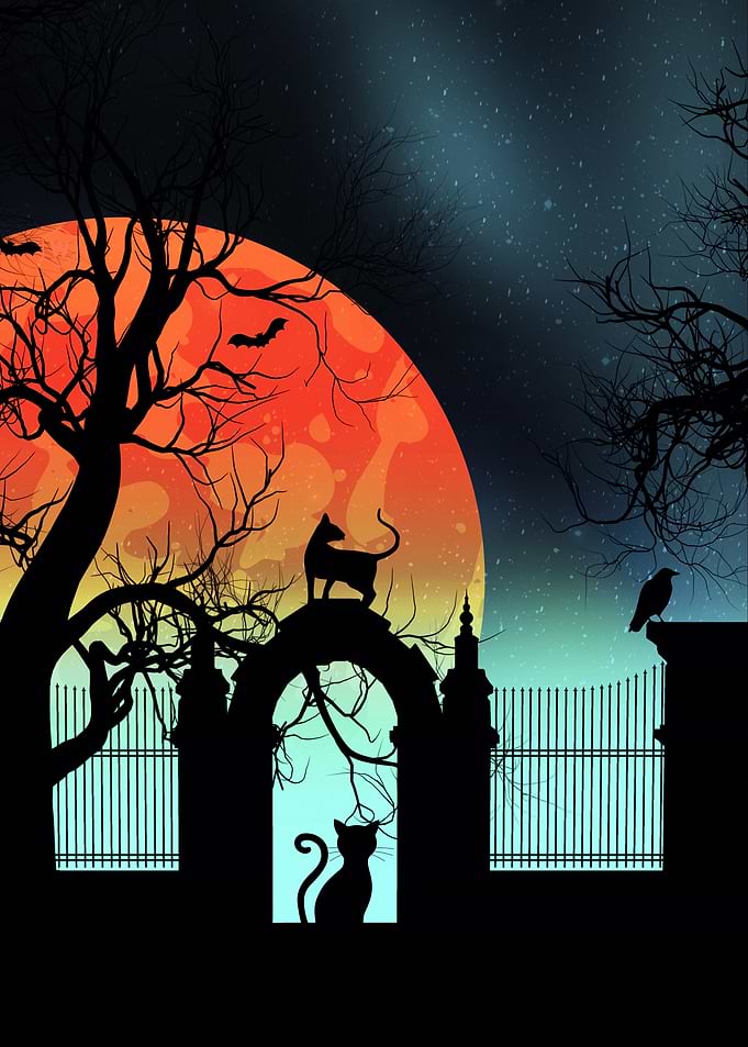 Halloween Night Gate