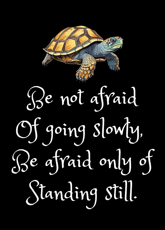 Turtle Quote Poster