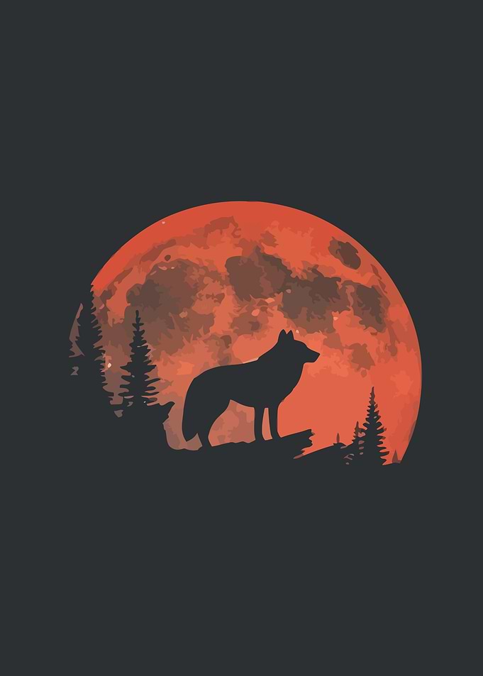 Wolf and Blood Moon