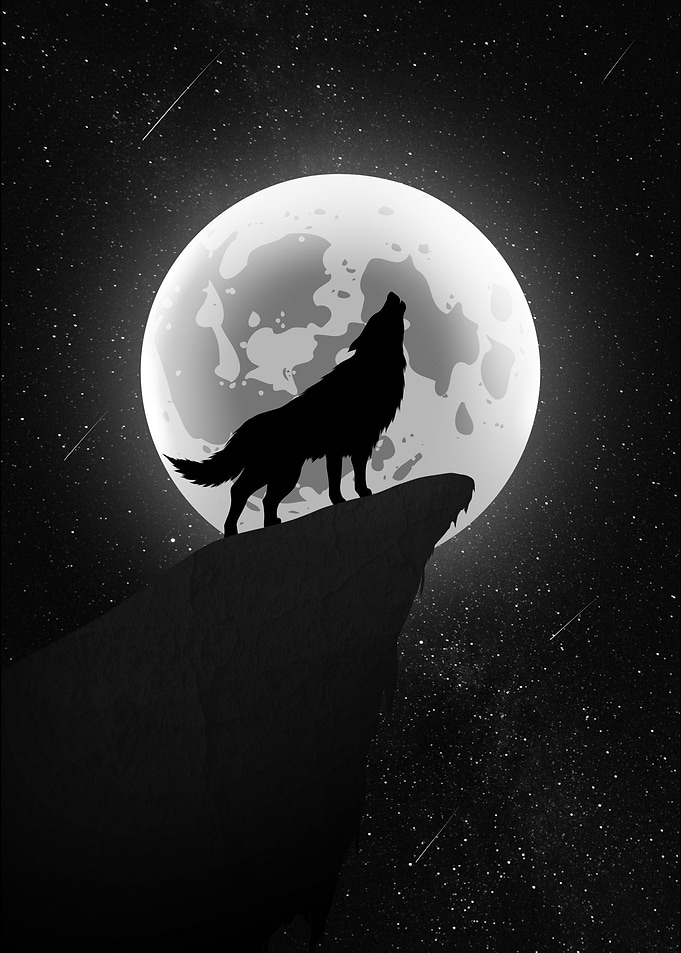 Wolf Howling at the Moon