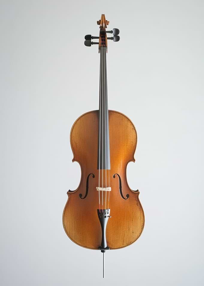 Cello on White Background