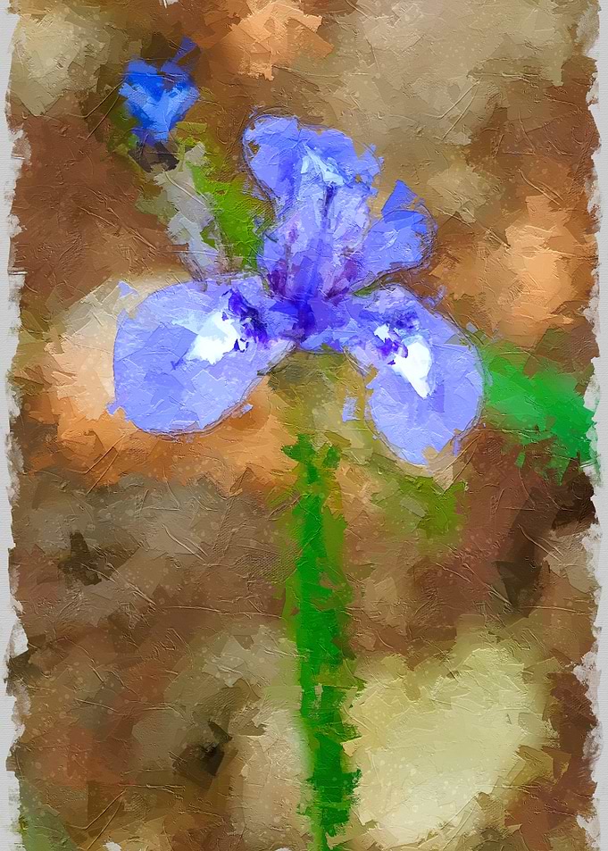 Blue Iris Painting