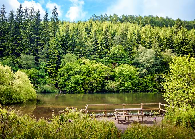 Picnic by the Lake