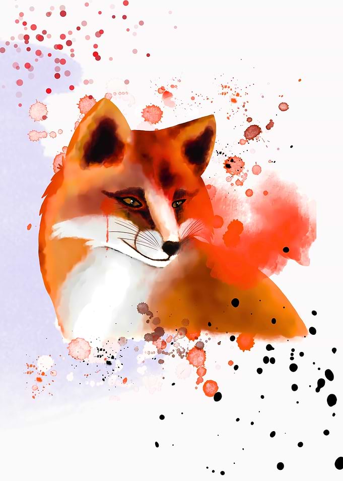 Untamed - Fox Portrait