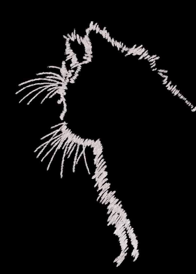 White Cat Silhouette