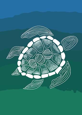 Sea Turtle