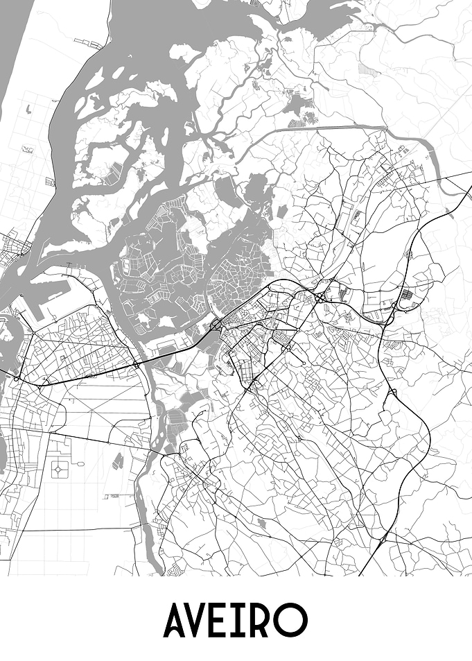 Aveiro City Map