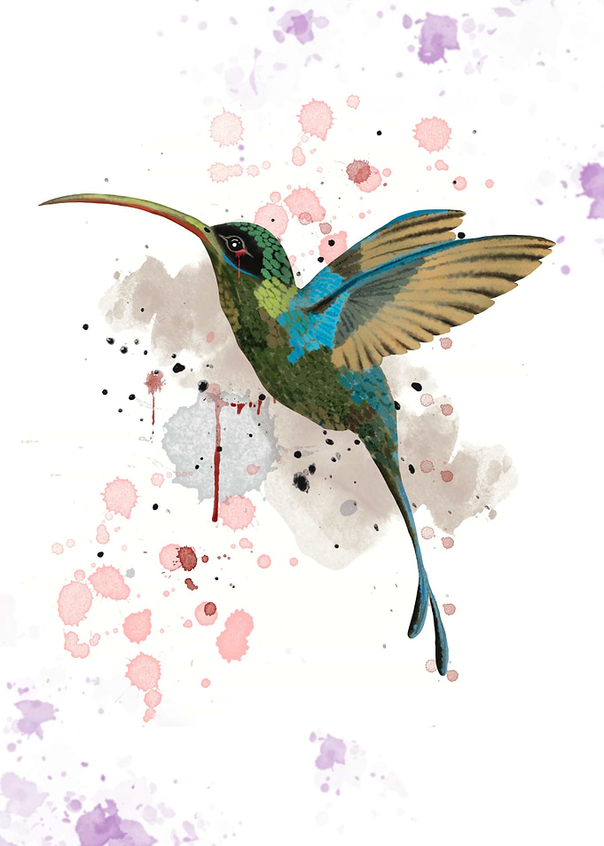 Abstract Hummingbird