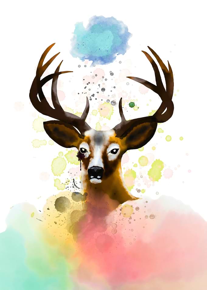 Watercolor Deer Portrait