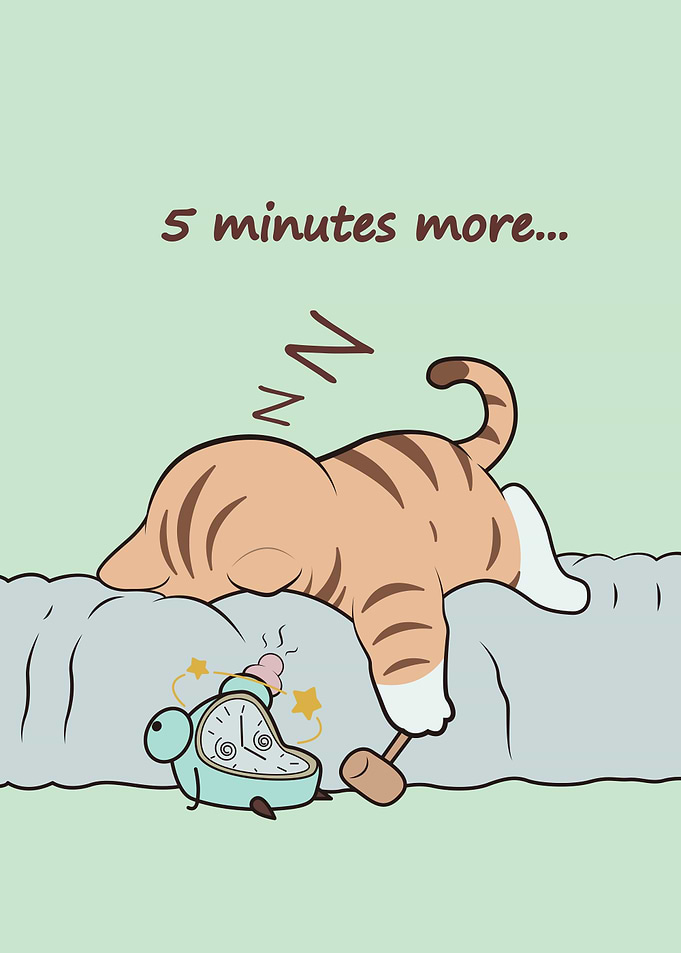 Sleepy Cat