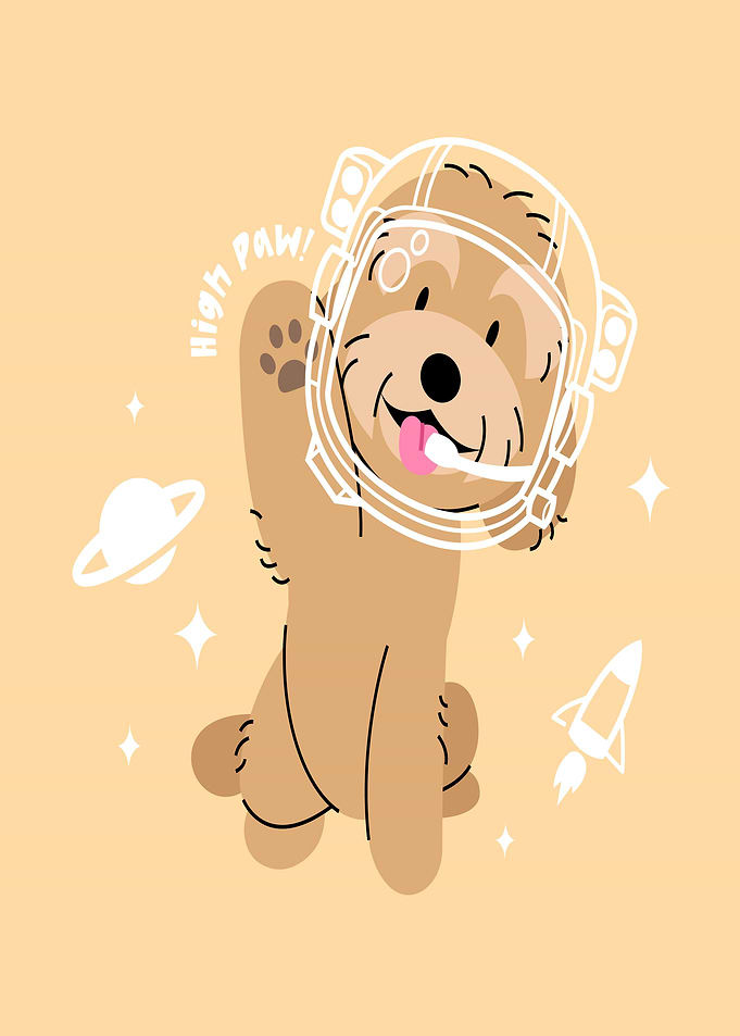 maltipoo Astronaut