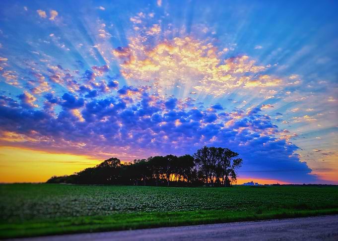 Sunrise Over Field