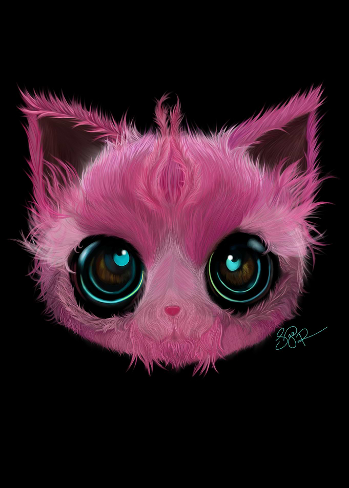 kitty