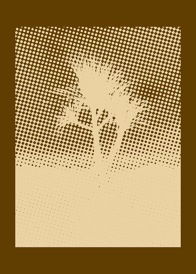Palm Tree Silhouette