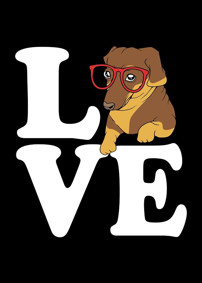Dachshund Love