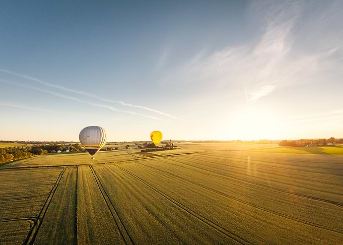 Hot Air Balloons Over Field