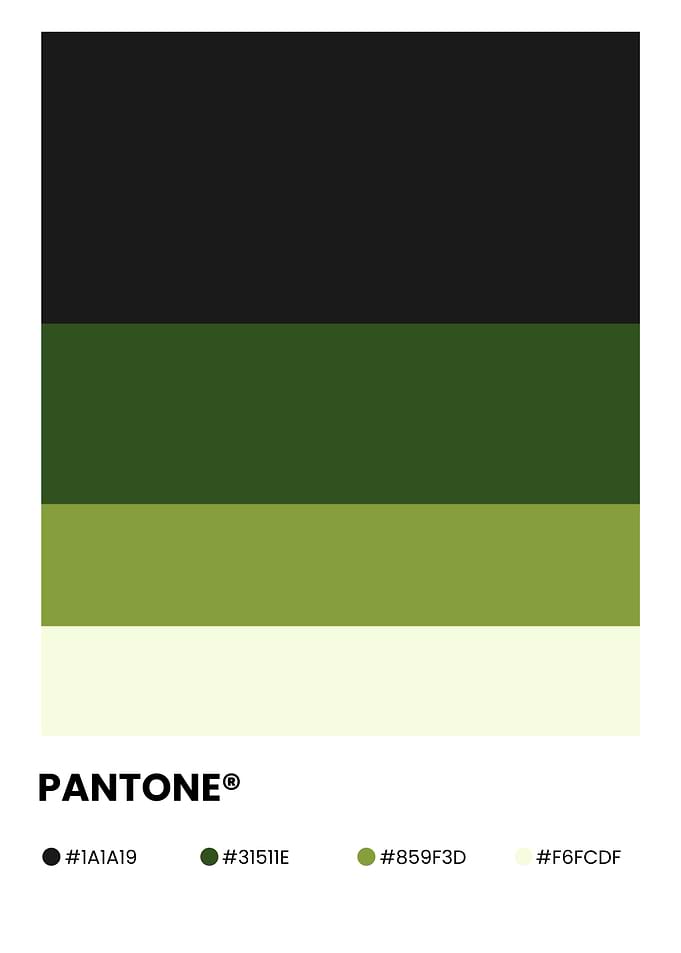 Pantone Color Palette