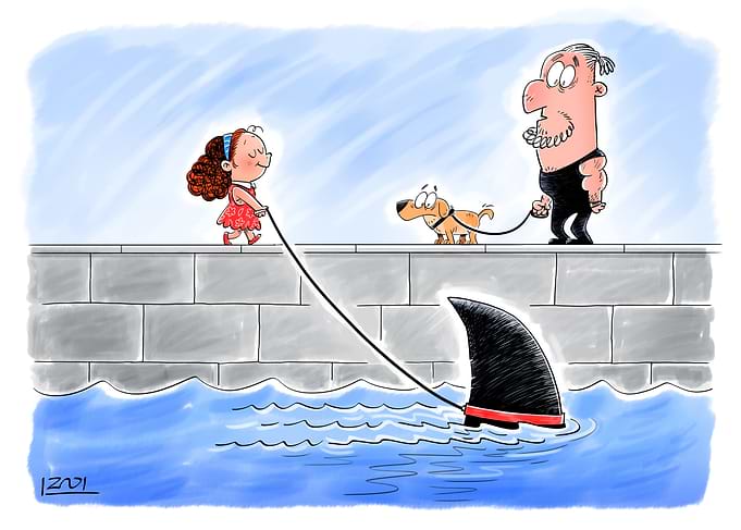 Shark on a Leash