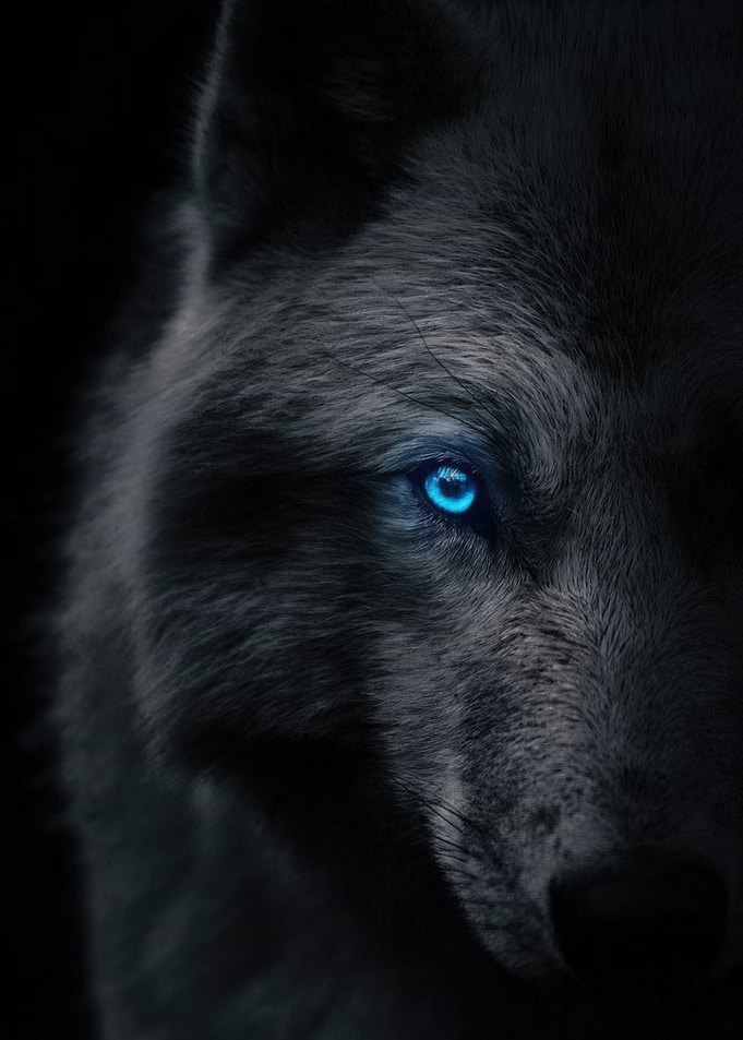 Silent Guardian