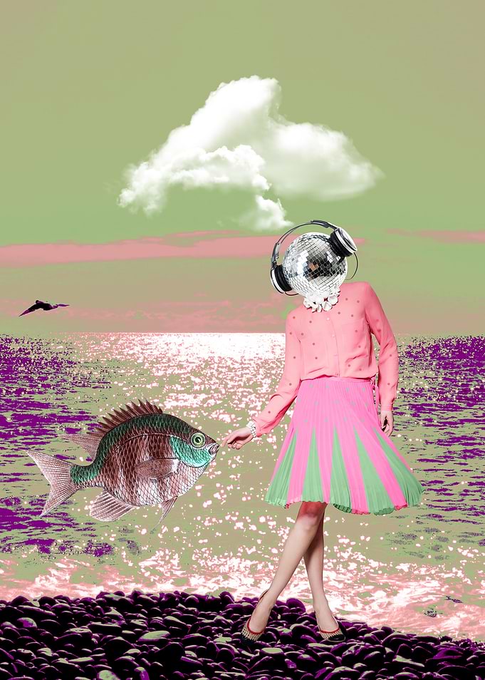 Disco Fish & Sunset