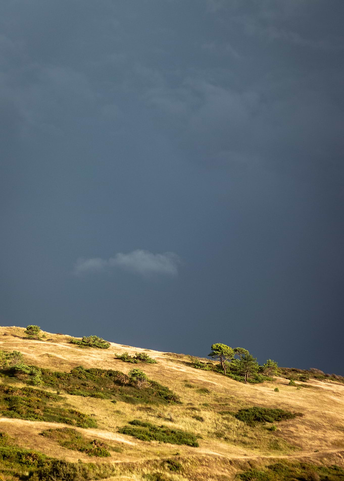 Stormy Dunes