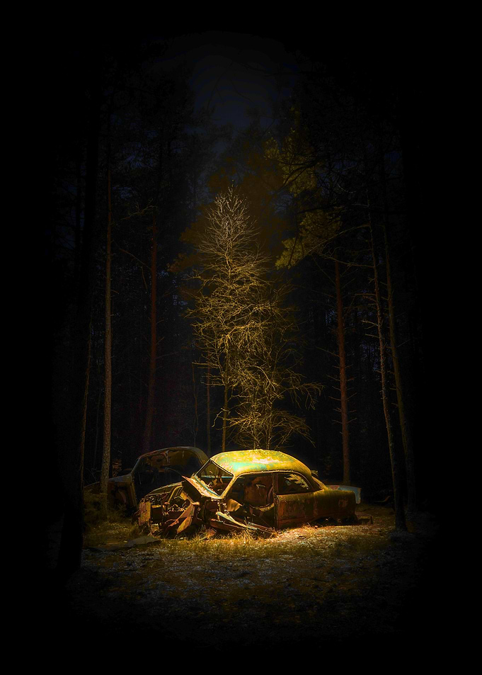 Rusty Car in Forest