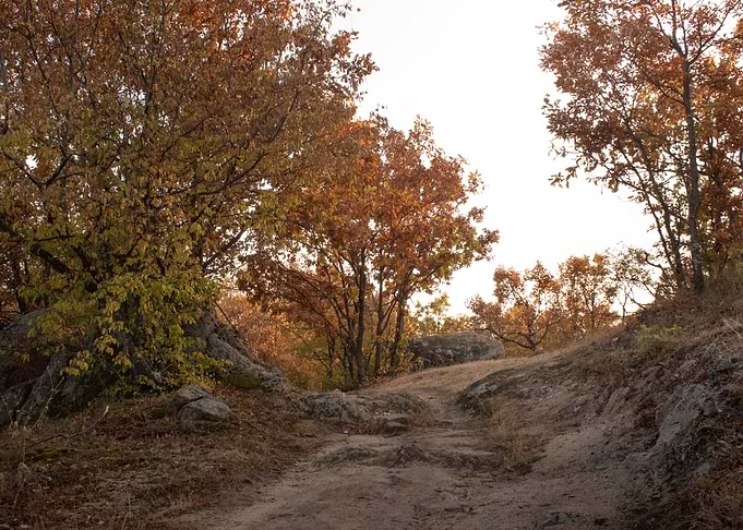 Fall in the countryside