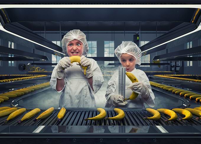 Banana Factory Fun