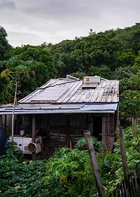 Rustic Cabin in Guadeloupe