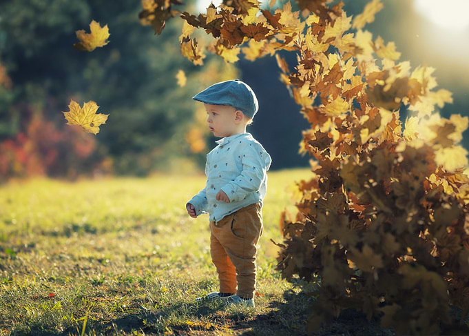 Toddler in Autumn Leaves