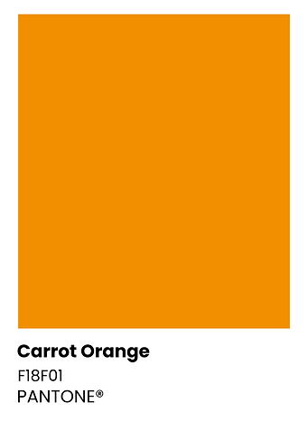 Pantone Carrot Orange