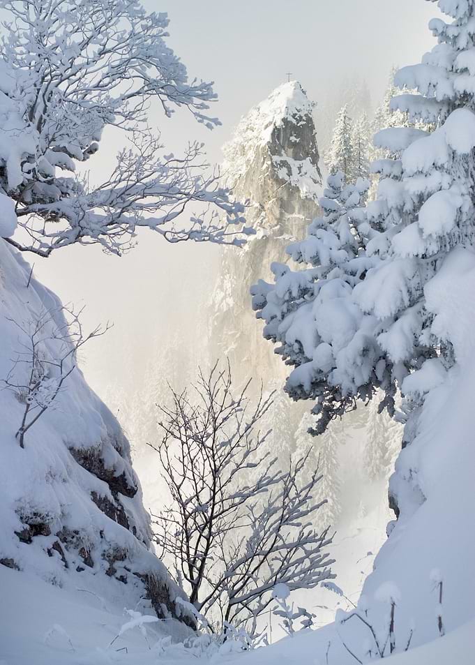 Winter Wonderland