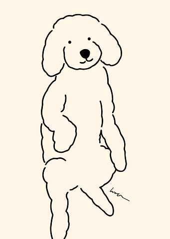 Adorable Poodle 🐶 illustration - 1
