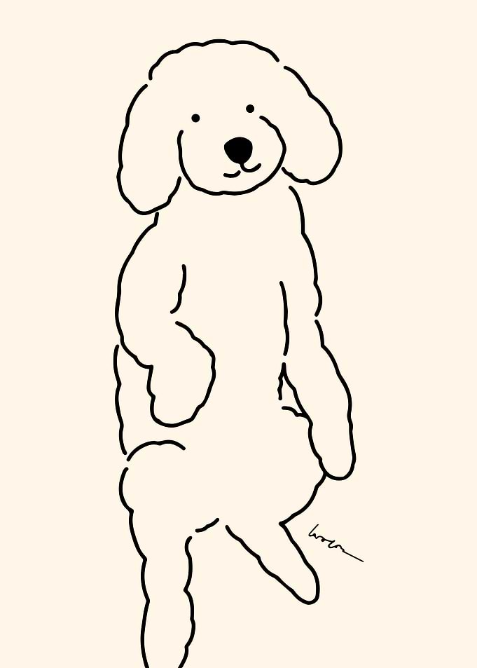 Adorable Poodle 🐶 illustration - 1