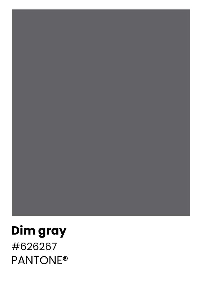 Pantone Dim Gray Color Chart