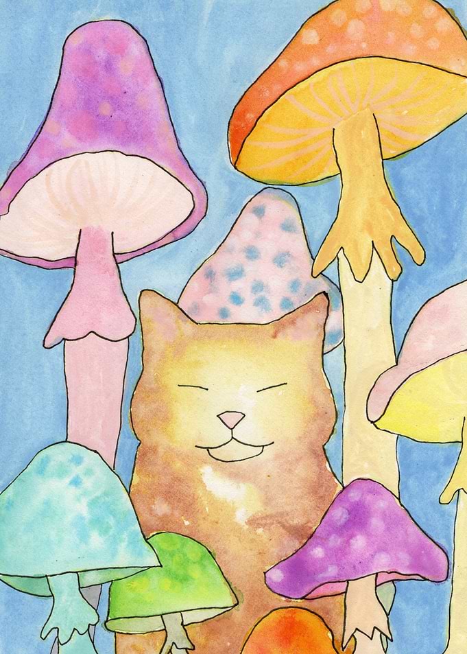 Sleepy Cat and Mushrooms
